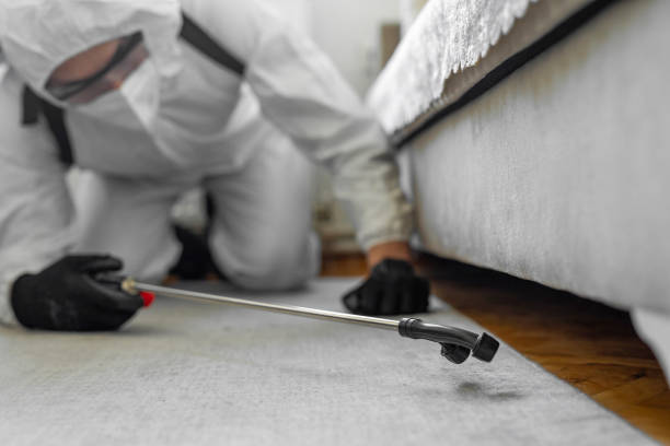 Professional Pest Control technician working in Duplin County County, NC